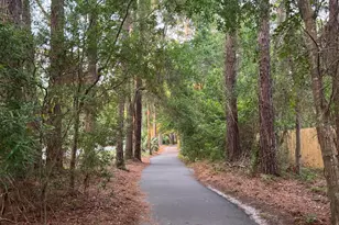 123 Sandcastle Ct, Hilton Head Island, SC 29928 - Photo 83