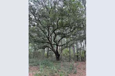 196 Polowana Road, Saint Helena Island, SC 29920 - Photo 17