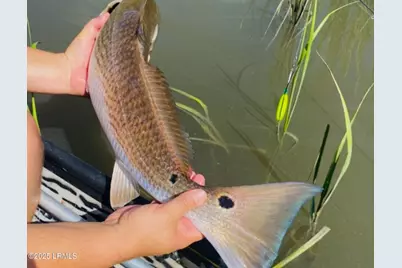 15 Barnaby Bluff, Seabrook, SC 29940 - Photo 43