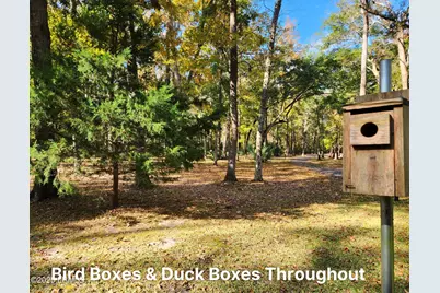 15 Barnaby Bluff, Seabrook, SC 29940 - Photo 77