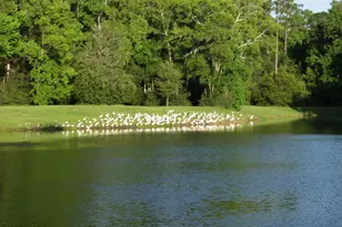 575 Distant Is Dr, Beaufort, SC 29907 - Photo 93