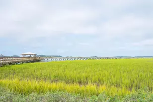 1008C 12th St, Port Royal, SC 29935 - Photo 65