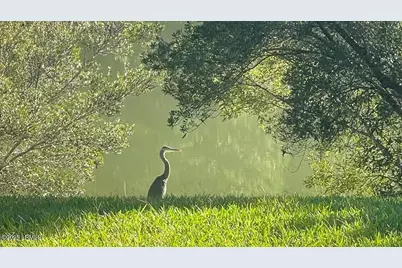 162 Chicora Lane, Yemassee, SC 29945 - Photo 41