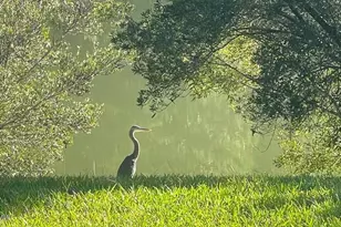 162 Chicora Ln, Yemassee, SC 29945 - Photo 41