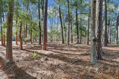 117 Summerton Drive, Bluffton, SC 29910 - Photo 13