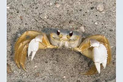 2017 Lafayette Street, Beaufort, SC 29902 - Photo 31