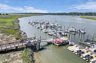 5 Delta Ln, Hilton Head Island, SC 29928 - Photo 89