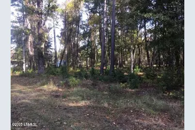 Tbd Goethe Hill Road, Beaufort, SC 29906 - Photo 11