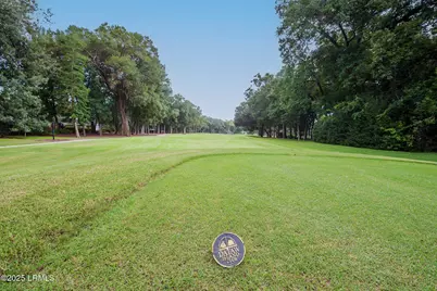 434 Bb Sams Drive, Saint Helena Island, SC 29920 - Photo 33