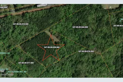 Tbd Ritter, Walterboro, SC 29488 - Photo 1