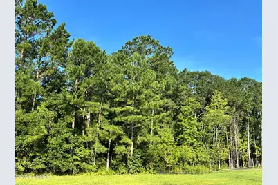 Lot 5B N Okatie Highway, Ridgeland, SC 29936 - Photo 9