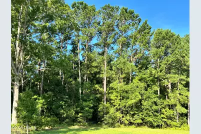 Lot 5B N Okatie Highway, Ridgeland, SC 29936 - Photo 7