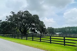 40 Rose Dhu Creek Plantation, Bluffton, SC 29910 - Photo 93