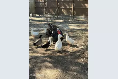 10 Big Ash Lane, Beaufort, SC 29907 - Photo 3