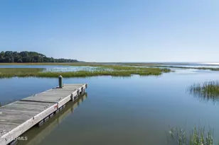 17 Bermuda Downs, Saint Helena Island, SC 29920 - Photo 59