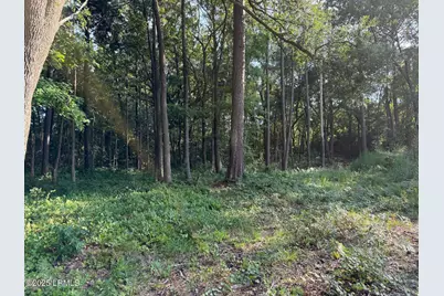 23 Joe Frazier Road, Burton, SC 29906 - Photo 3