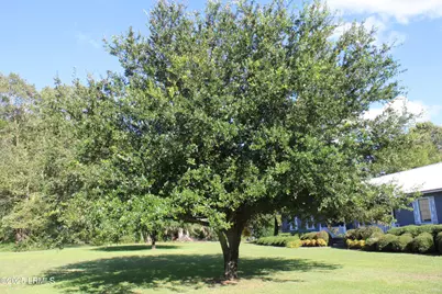 3222 Charleston Highway, Varnville, SC 29944 - Photo 27