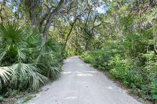 303 Spring Island Dr, Okatie, SC 29909 - Photo 95