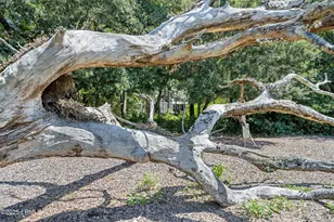 303 Spring Island Dr, Okatie, SC 29909 - Photo 91