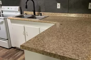 1045 Elm St W, Hampton, SC 29924 - Photo 3