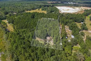 168 Walker Rd, Early Branch, SC 29916 - Photo 31