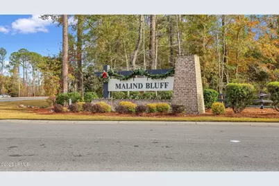 844 Danner Drive, Okatie, SC 29909 - Photo 95