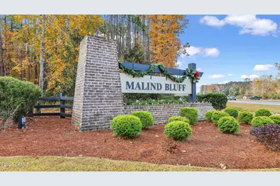 844 Danner Drive, Okatie, SC 29909 - Photo 97