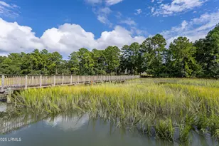 2956 Needlegrass Dr, Beaufort, SC 29902 - Photo 63