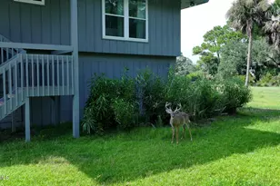 416 Skimmer Cove, Fripp Island, SC 29920 - Photo 35