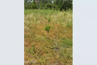 Tbd Old Buckhead Road, Bamberg, SC 29003 - Photo 21