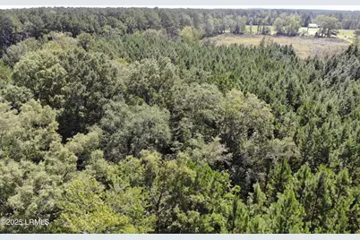 Tbd Old Buckhead Road, Bamberg, SC 29003 - Photo 3