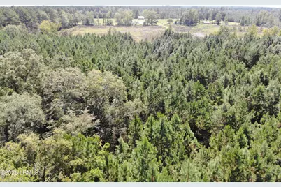Tbd Old Buckhead Road, Bamberg, SC 29003 - Photo 5