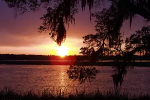 660 Distant Is Dr, Beaufort, SC 29907 - Photo 67