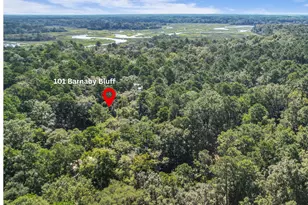 101 Barnaby Blf, Seabrook, SC 29940 - Photo 1