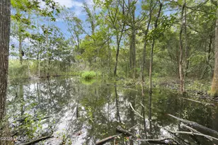959 Sea Island Pkwy, Saint Helena Island, SC 29920 - Photo 55