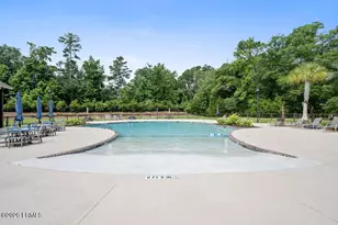 8 Daffodil Farm Way, Bluffton, SC 29910 - Photo 59