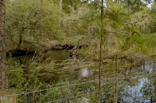 165 Golda Dr, Ridgeland, SC 29936 - Photo 95