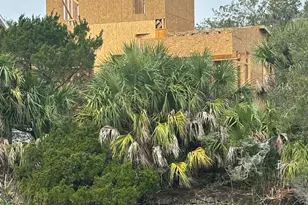 6 W Marsh Dr, Harbor Island, SC 29920 - Photo 3