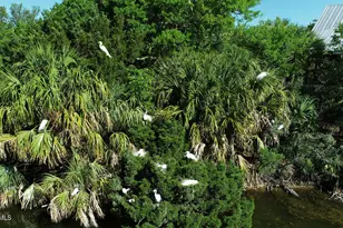 6 W Marsh Dr, Harbor Island, SC 29920 - Photo 23