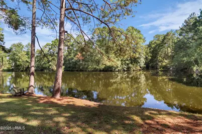 9 Bracken Fern, Bluffton, SC 29910 - Photo 85