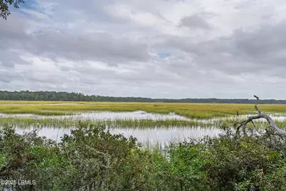 18 Chechessee Circle, Okatie, SC 29909 - Photo 57