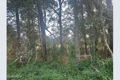 29 Harbor Breeze Drive, Saint Helena Island, SC 29920 - Photo 3