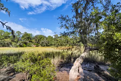 91 Jarvis Creek Lane, Hilton Head Island, SC 29926 - Photo 49