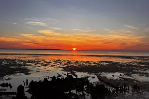 47 Ave of Oaks, Saint Helena Island, SC 29920 - Photo 55