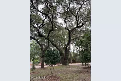 47 Avenue Of Oaks, Saint Helena Island, SC 29920 - Photo 53