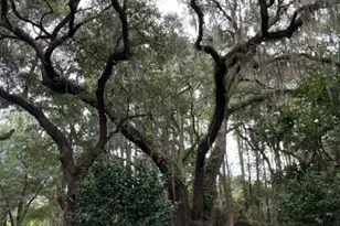 47 Ave of Oaks, Saint Helena Island, SC 29920 - Photo 53