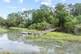 6 Pole Creek Ln, Okatie, SC 29909 - Photo 87