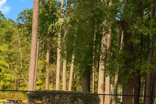 1 Pomegranate Ln, Bluffton, SC 29909 - Photo 47