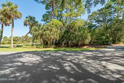 102 Sea Otter Lane, Fripp Island, SC 29920 - Photo 61