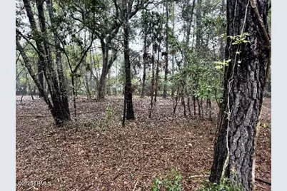 21 Fort Fremont Court N, Saint Helena Island, SC 29920 - Photo 13